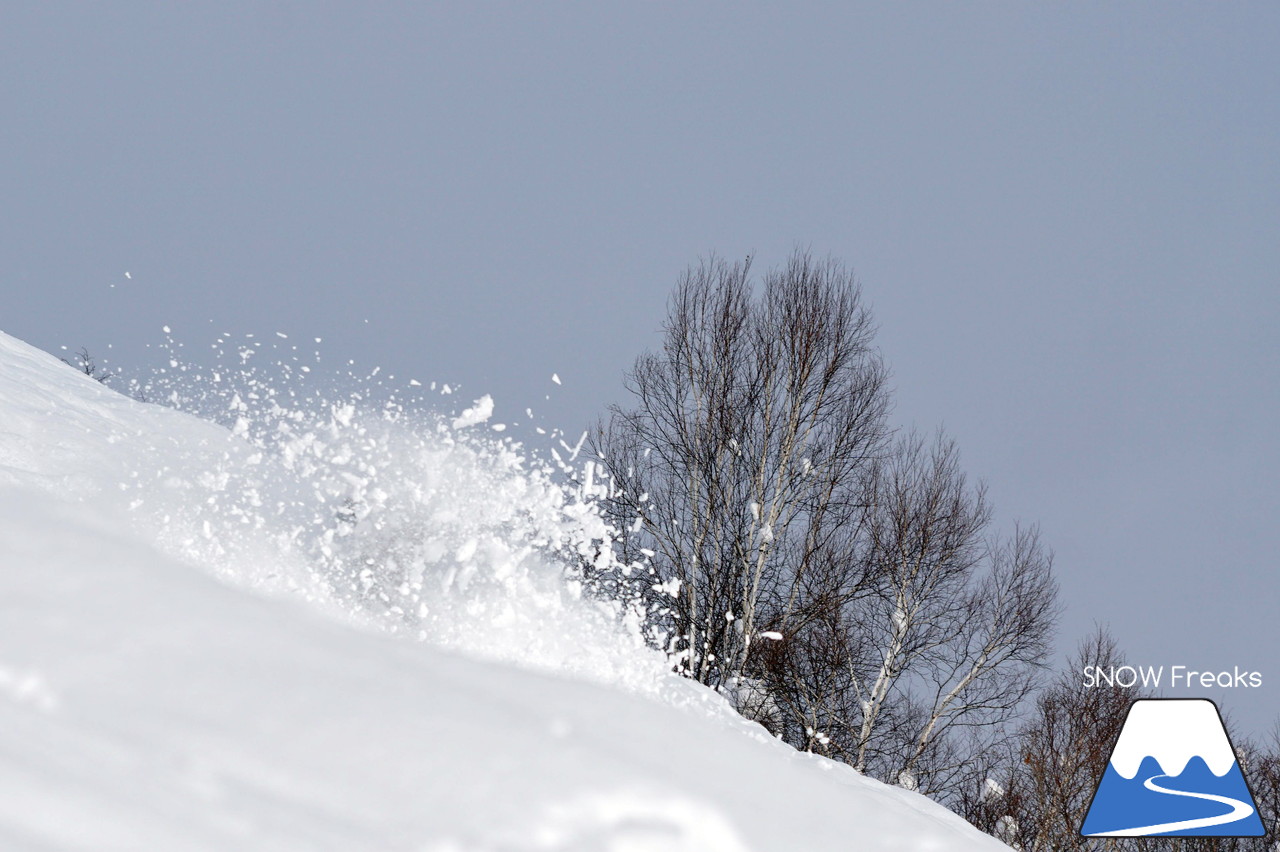 Local Powder Photo Session with my homie !!!!